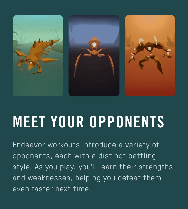 Meet Your Opponents