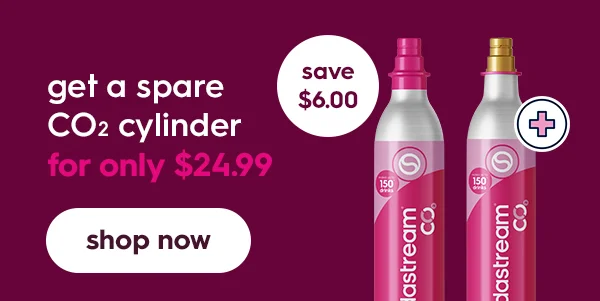 get a spare C02 cylinder for ONLY $24.99 get a spare C02 cylinder for ONLY $24.99