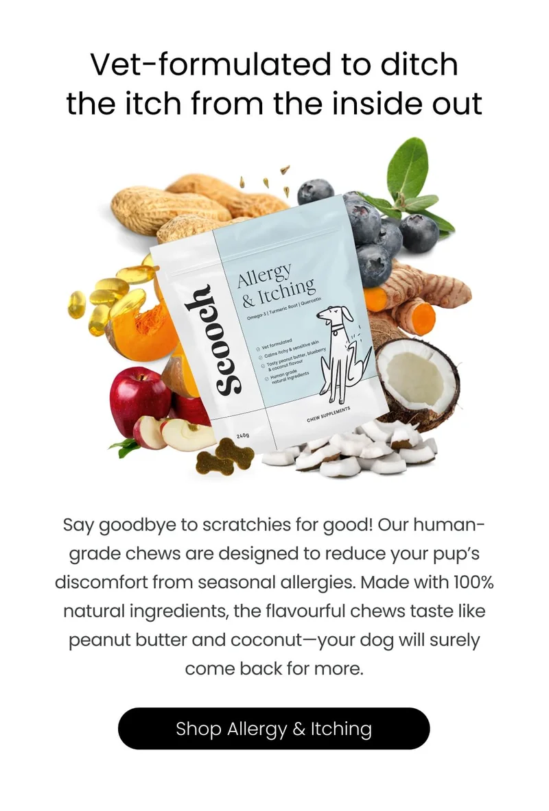 Vet-formulated to ditch the itch from the inside out - Shop Allergy & Itching