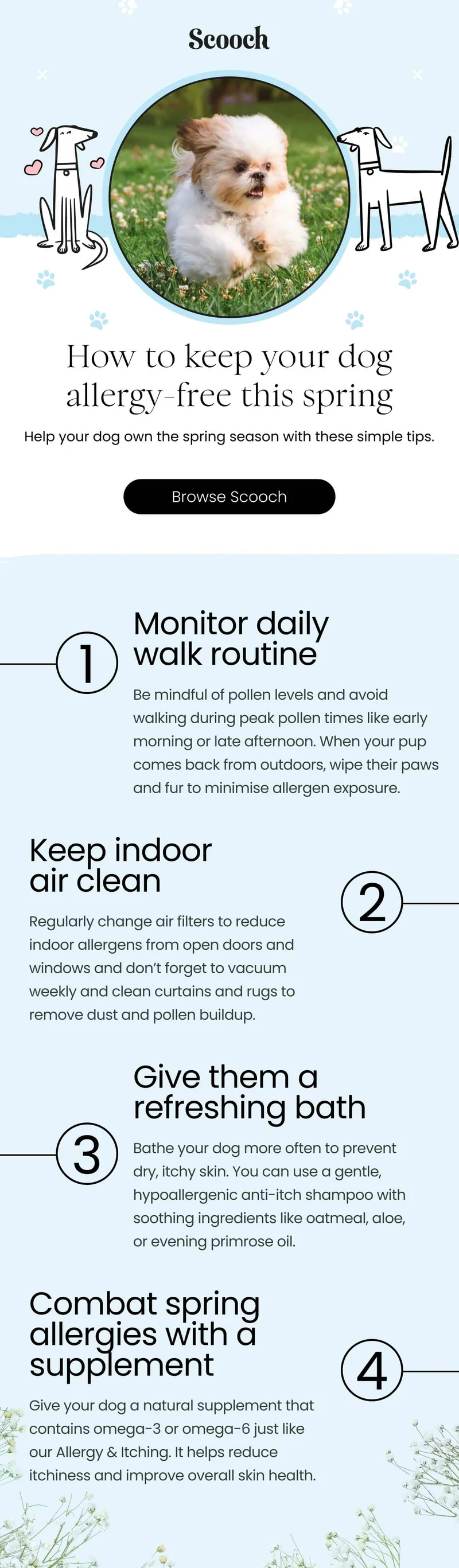 Help your dog own springtime with these simple tips. - Browse Scooch