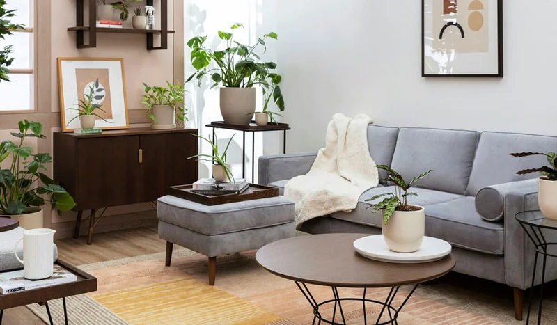 SAVE UP TO 60% OFF | LABOR DAY SALE | VELVET DISCOUNTS