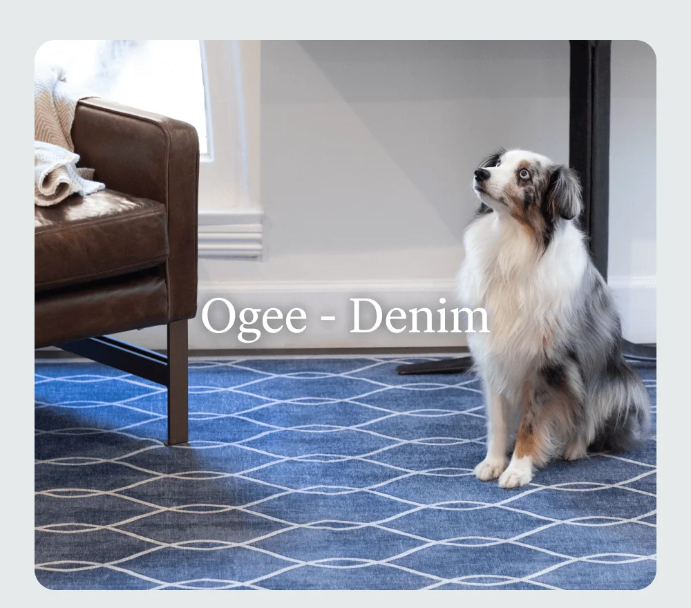Ogee - Denim