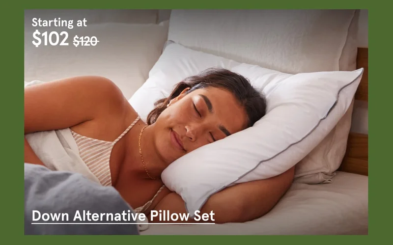 Down Alternative Pillow Set