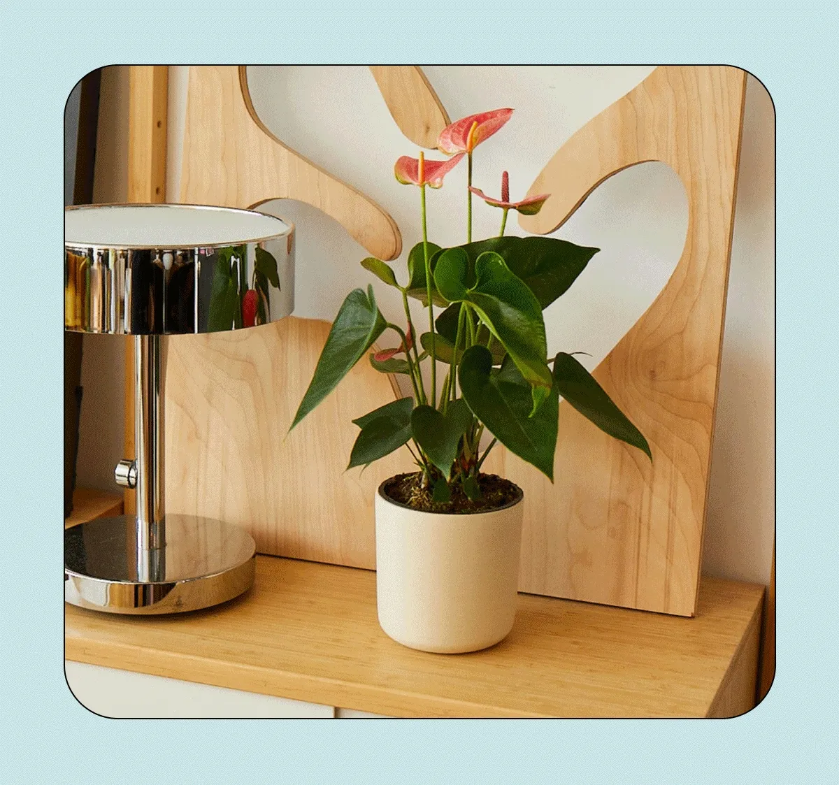 Our Upcycled Planters in a variety of colors and sizes.