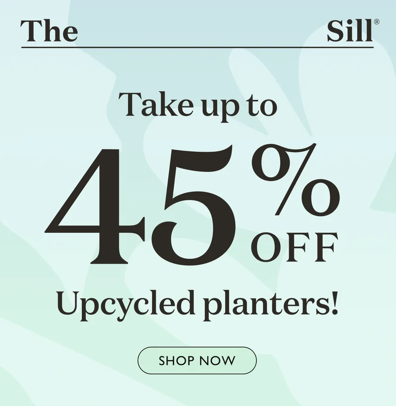 Up to 45% off Upcycled planters!