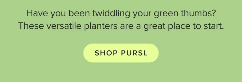 These versatile planters are a great place to start. Shop Pursl.