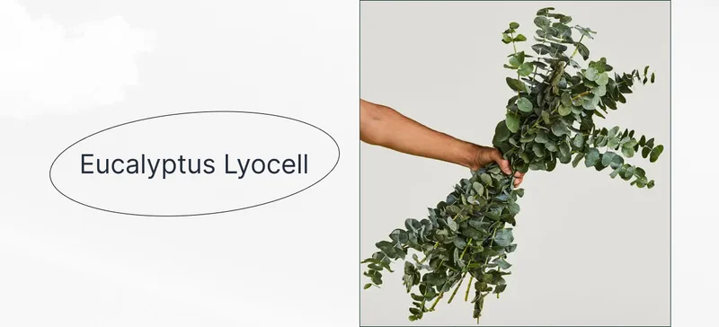 Eucalyptus Lyocell