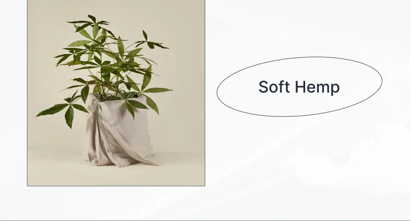 Soft Hemp