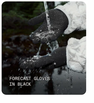 Forecast Gloves in Black