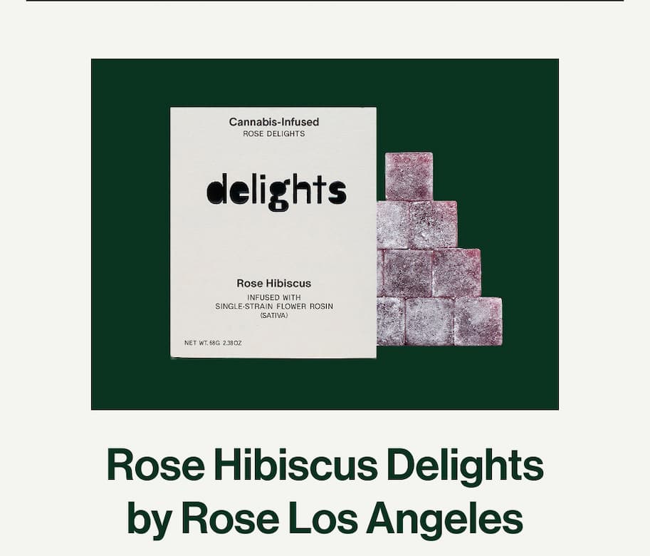 Rose Hibiscus Delights