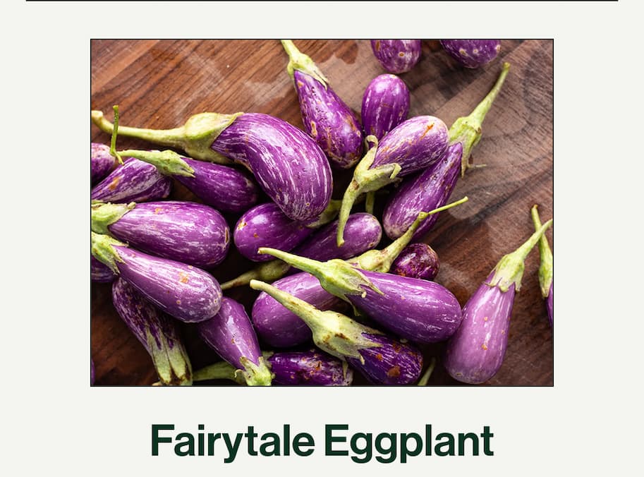 Fairytale Eggplant
