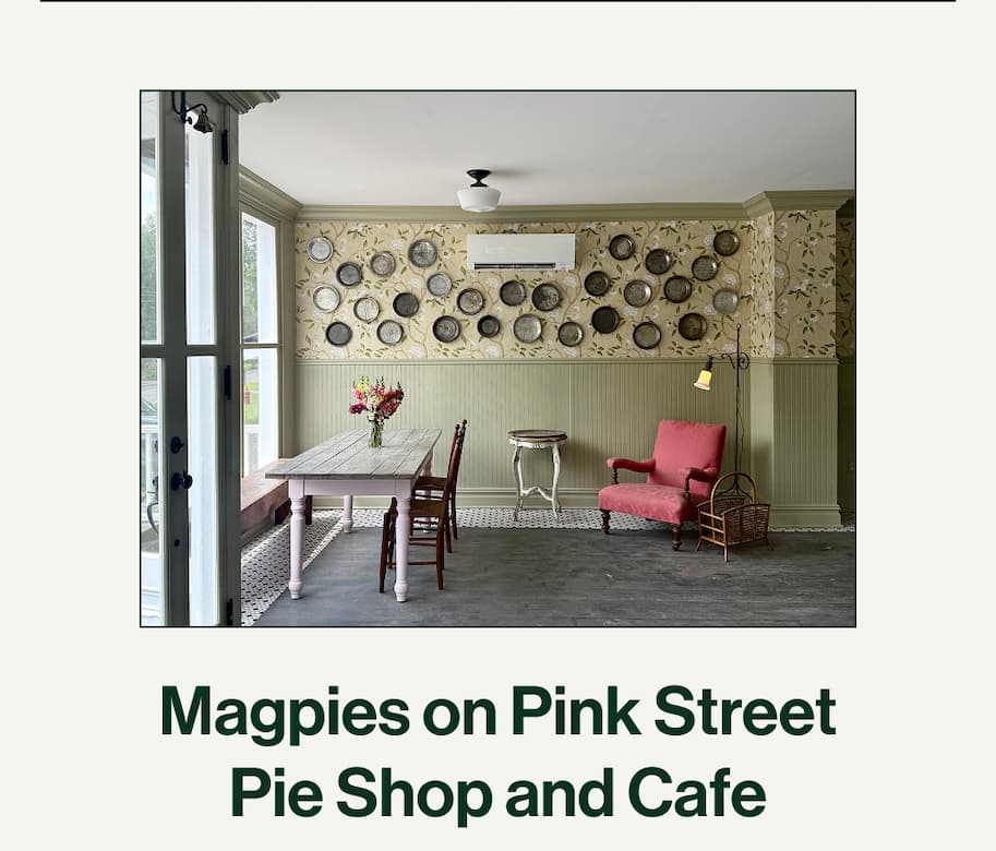 Magpies on Pink Street