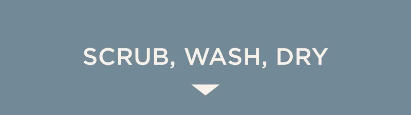 SCRUB, WASH, DRY