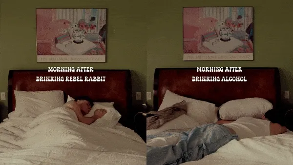 Comparison - Rebel Rabbit vs Everyone else