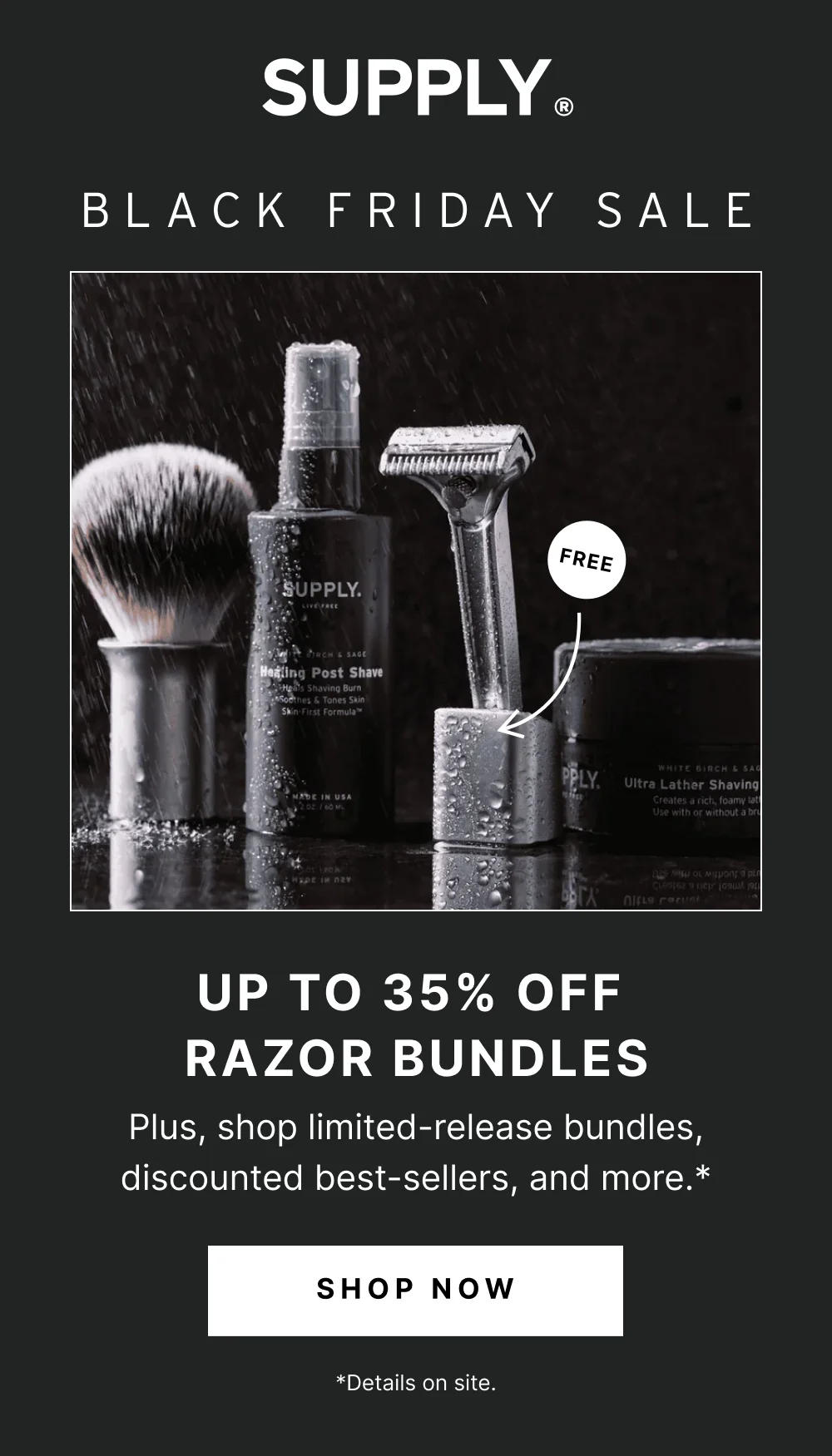 Black Friday Sale