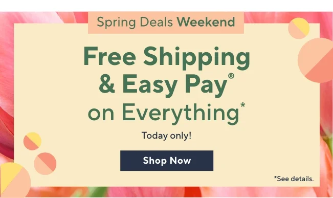 5 Easy Pays