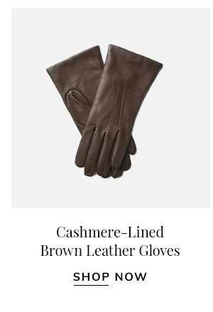Brown Gloves