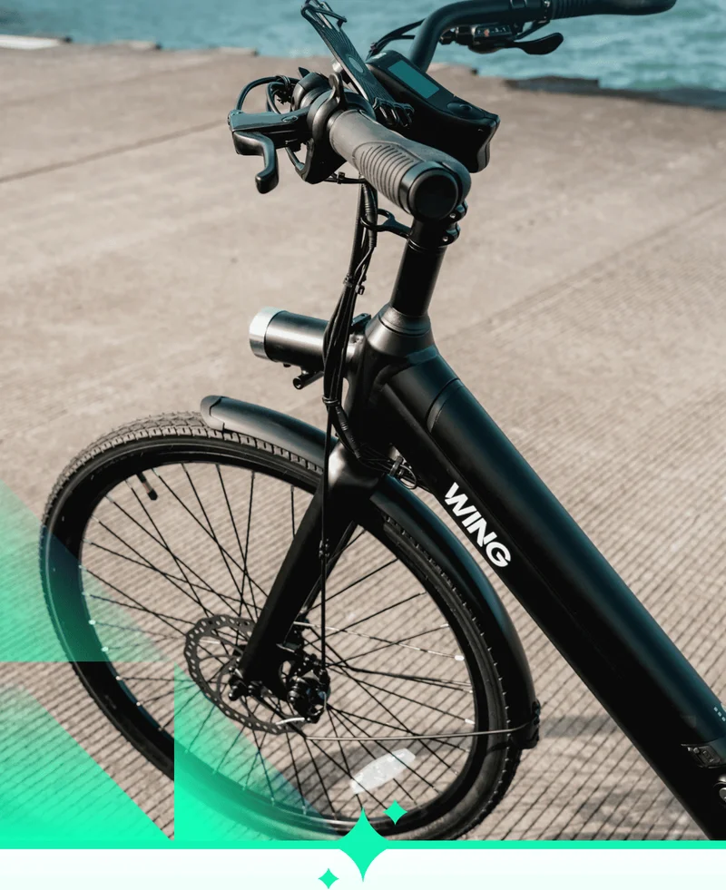 Wing Bike