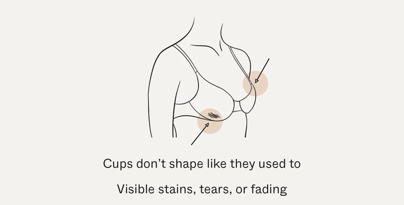 Cups don't shape like they used to | Visible stains, tears, or fading.