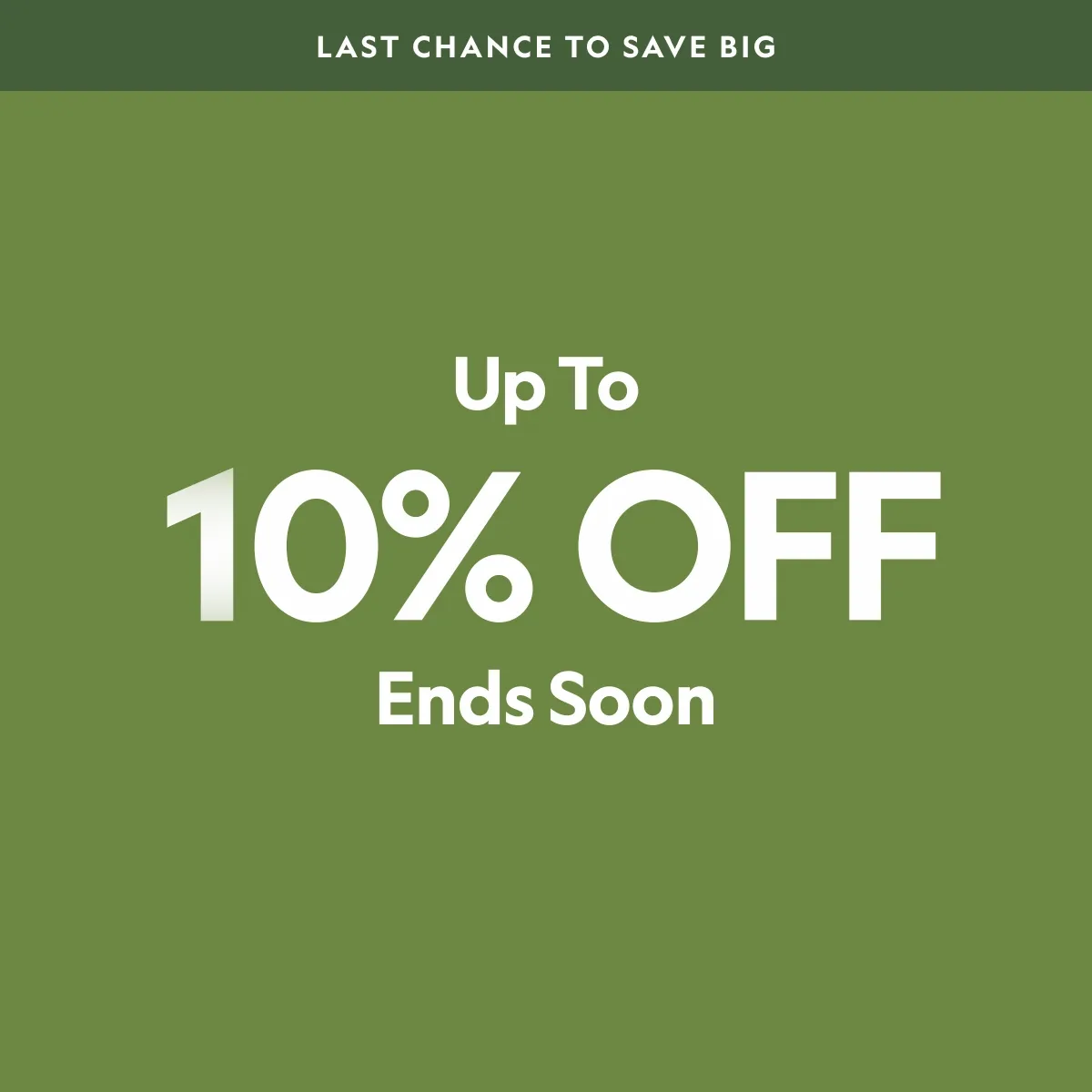 Black Friday Sale