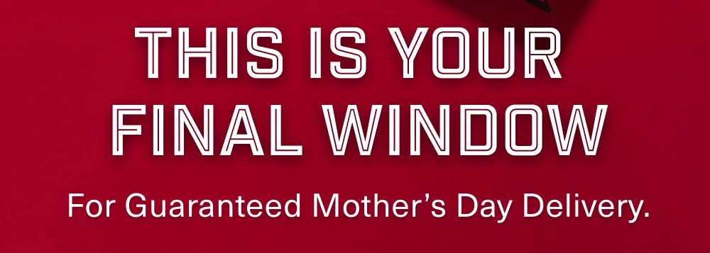 This is your Final Window