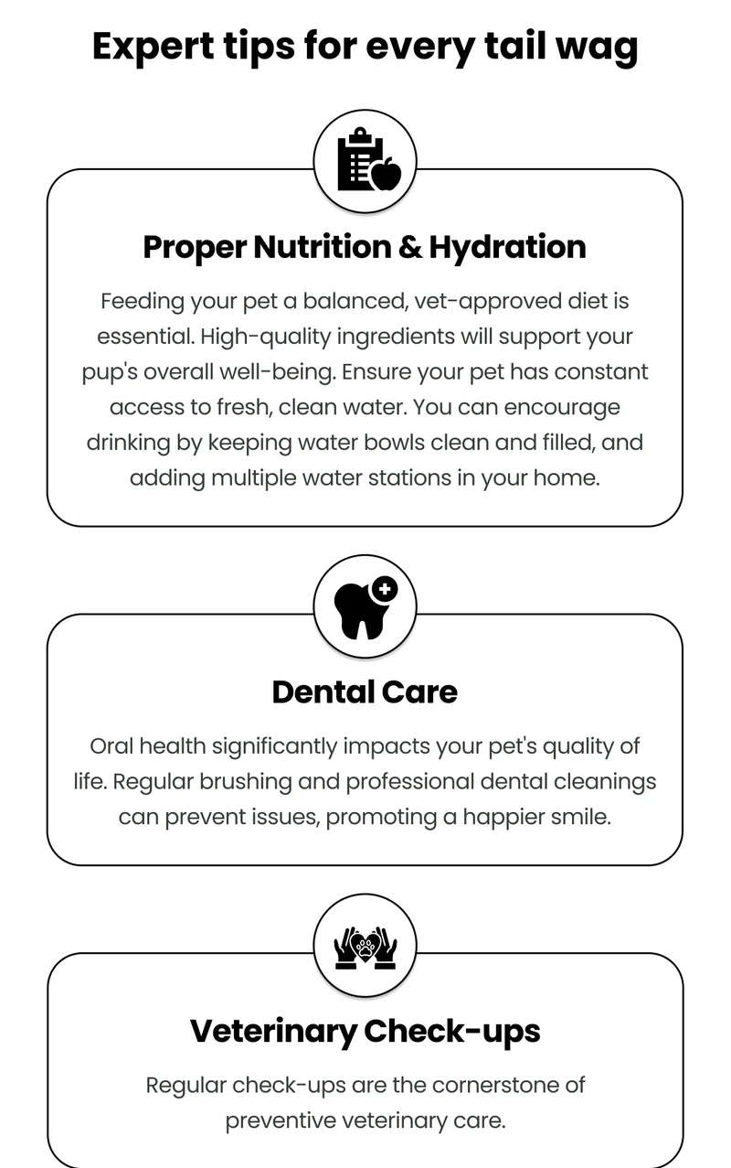 Expert tips for every tail wag