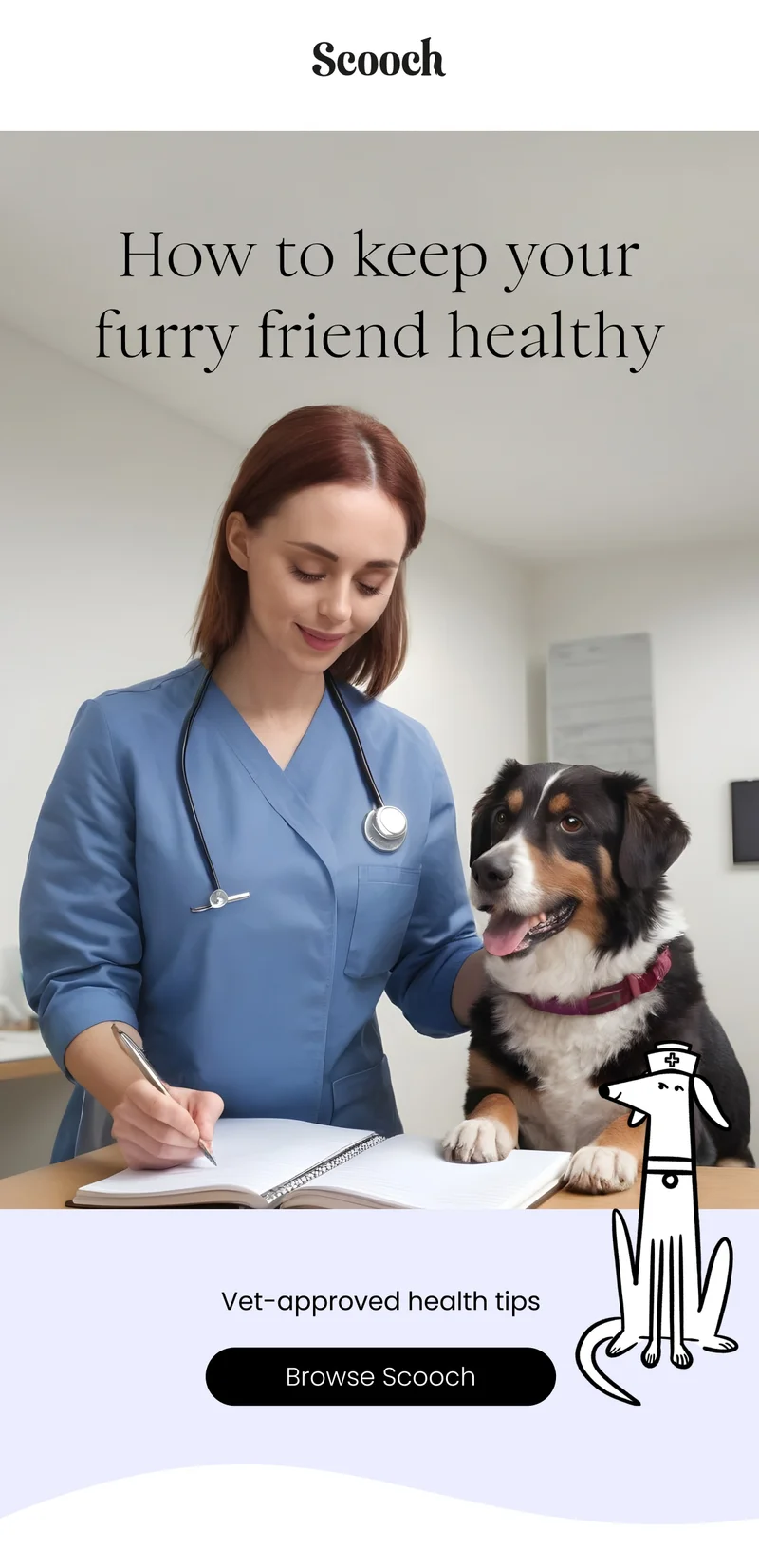 How to keep your furry friend healthy Vet-approved health tips - Browse Scooch
