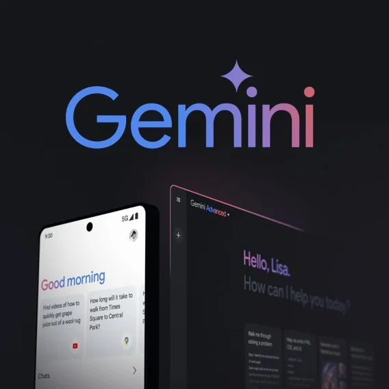 A black square box with the word 'Gemini' above two examples of Gemini product