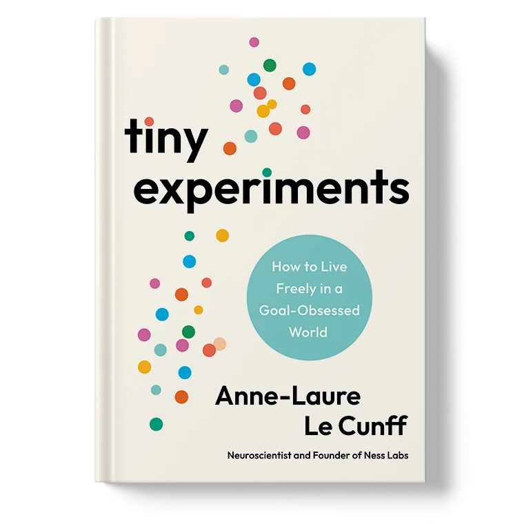 Tiny Experiments Book