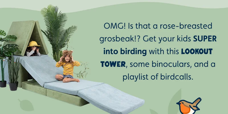 OMG! Is that a rose-breasted grosbeak!? Get your kids SUPER into birding with this lookout tower, some binoculars, and a playlist of birdcalls.
