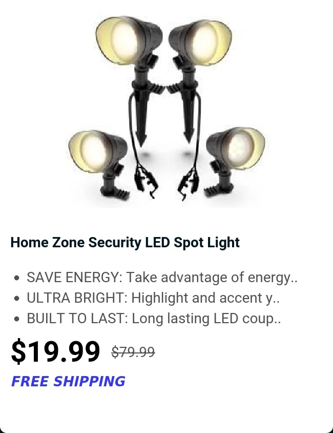 Home Zone Security LED Spot Light