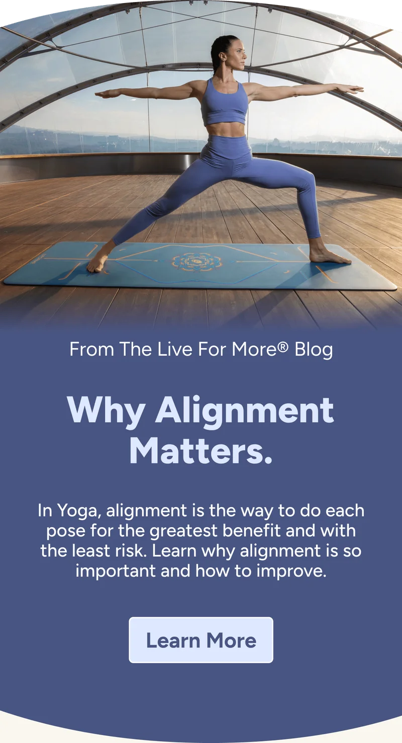 From the Live For More Blog –&nbsp;Why Alignment Matters