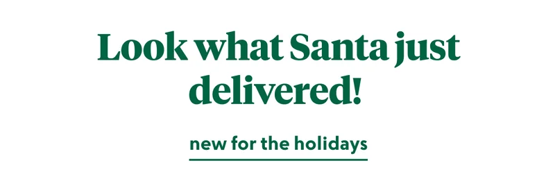 shop christmas gifts