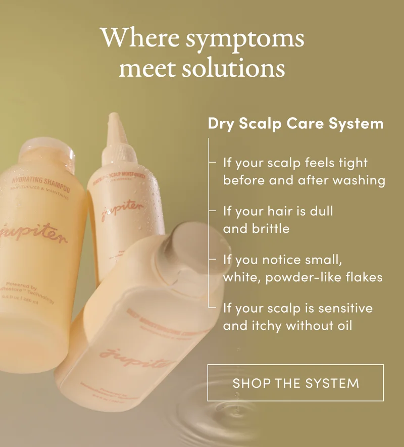 Where symptoms meet solutions | Dry Scalp Care System | If your scalp feels tight before and after washing | If your hair is dull and brittle |If you notice small, white, powder-like flakes | If your scalp is sensitive and itchy without oil | Shop the system