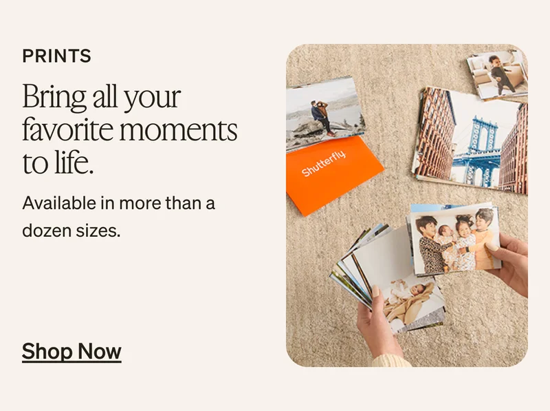 FINAL HOURS: Free shipping, no minimum + up to 40% off almost everything