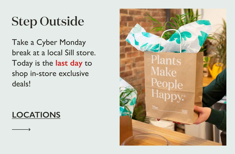 Take a Cyber Monday break at a local Sill store. Today is the last day to shop in-store exclusive deals!