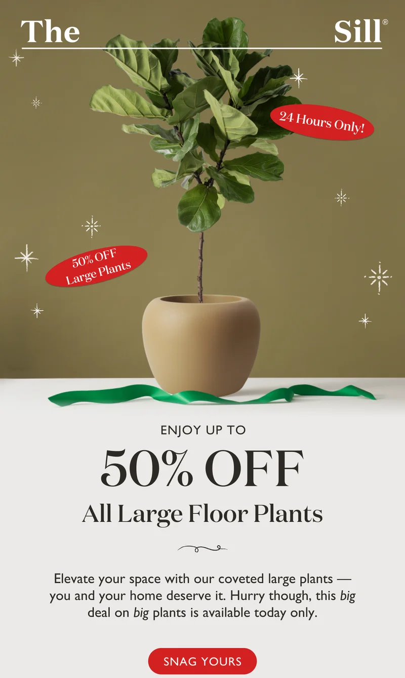 Enjoy up to 50% OFF all Large Plants! Elevate your space with our coveted large plants, you and your home deserve it. Hurry though, this big deal on big plants is available today only.