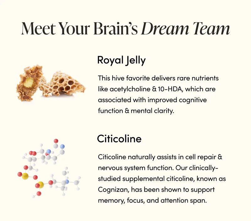 Meet Your Brain’s Dream Team   Royal Jelly This hive favorite delivers rare nutrients like acetylcholine & 10-HDA, which are associated with improved cognitive function & mental clarity.  Citicoline     Citicoline naturally assists in cell repair & nervous system function. Our clinically-studied supplemental citicoline, known as Cognizan, has been shown to support memory, focus, and attention span.