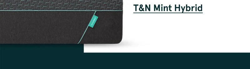 T&N Mint Hybrid