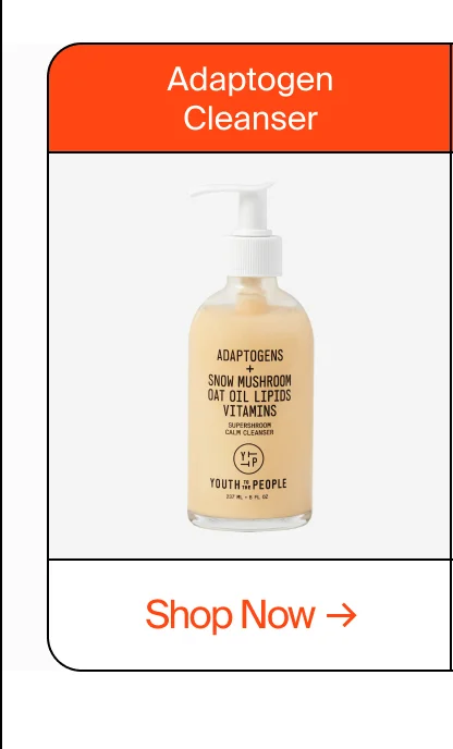 Adaptogen Cleanser