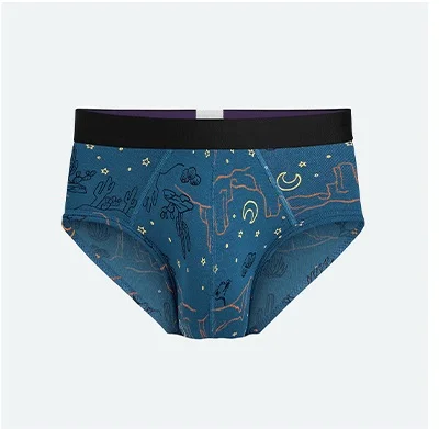 Brief