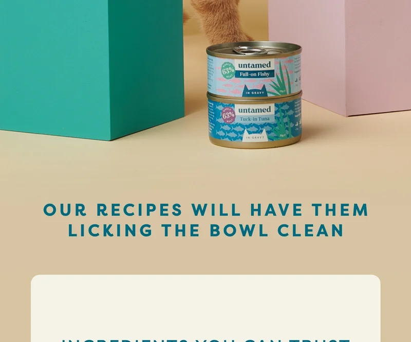Our recipes will have them licking the bowl clean