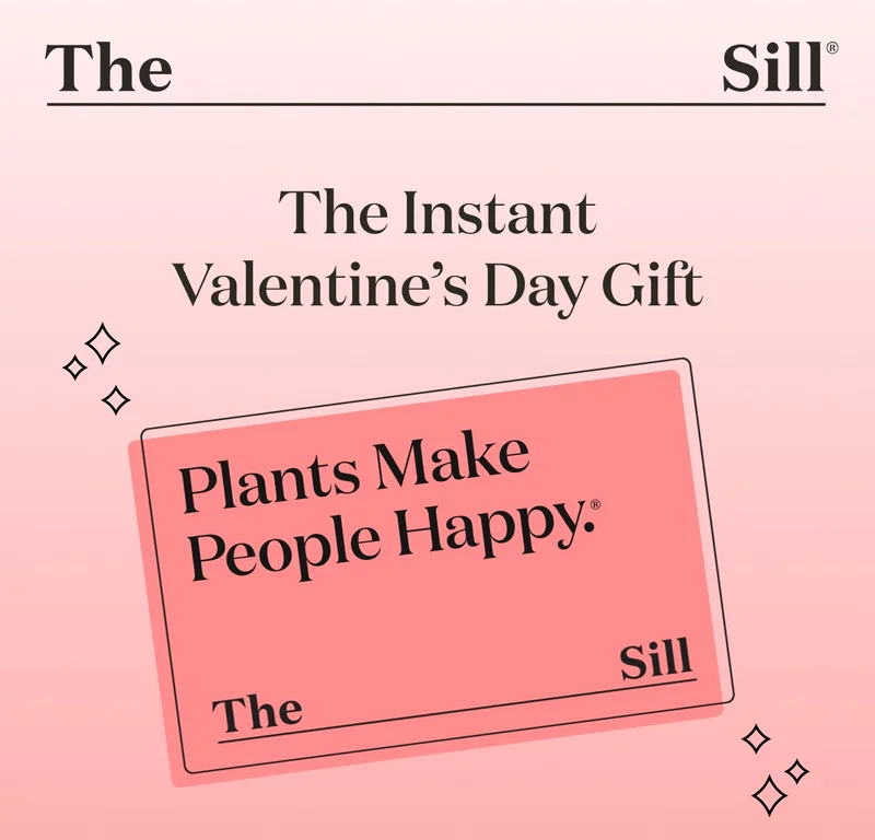 The Instant Valentine's Day Gift - The Sill Digital Gift Card