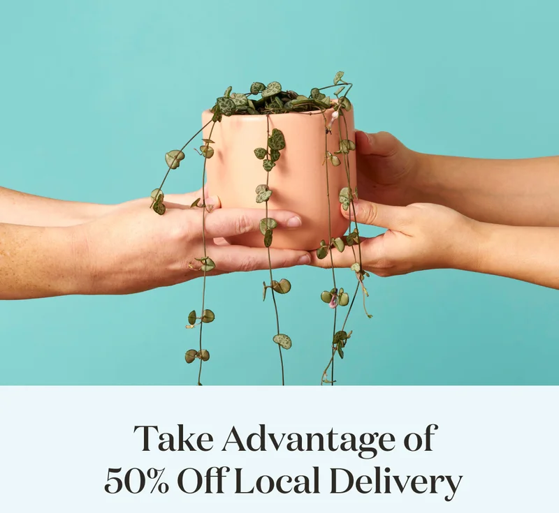 Take Advantage of 50% Off Local Delivery!