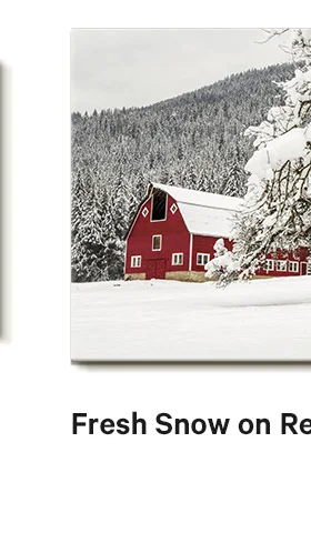 Fresh Snow on Red Barn Near Salmo, British Columbia, Canada Photo Print