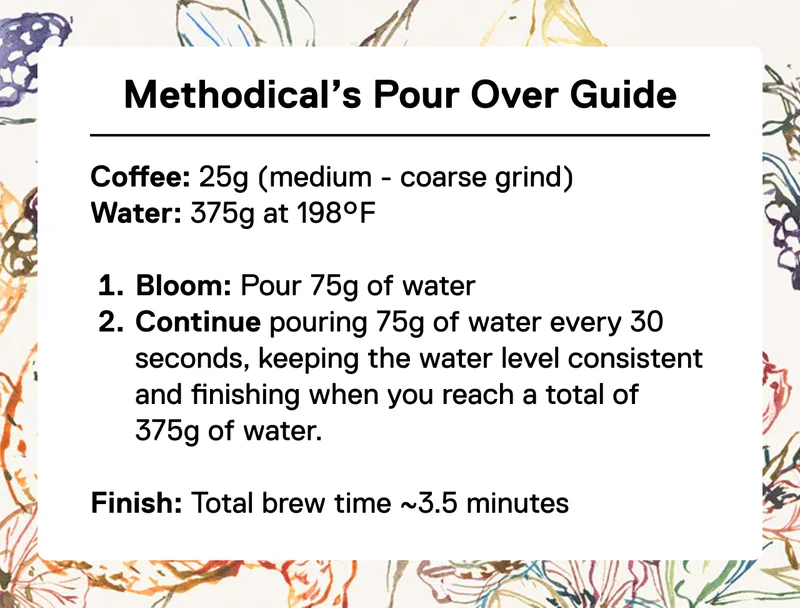 Limited Release: Methodical La Guaca