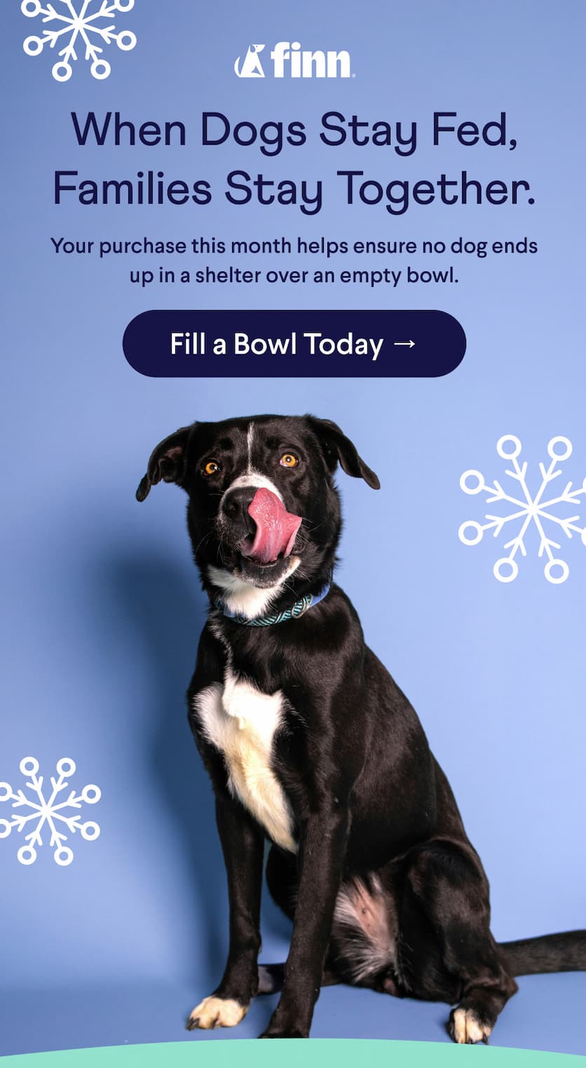 Finn logo. Text: When Dogs Stay Fed, Families Stay Together.   Your purchase this month helps ensure no dog ends up in a shelter over an empty bowl. CTA: Fill a Bowl Today →