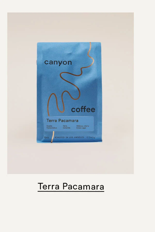 apartamento issue #33