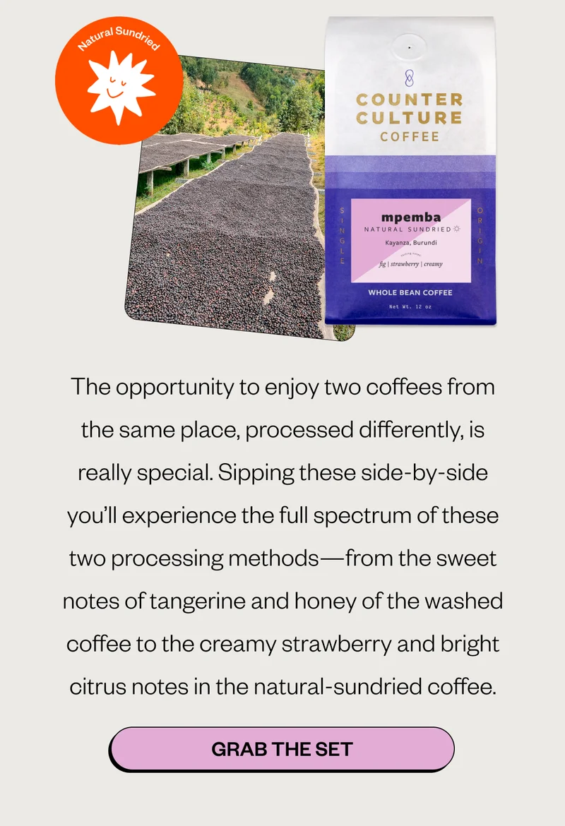 The opportunity to enjoy two coffees from the same place, processed differently, is really special. Sipping these side-by-side you’ll experience the full spectrum of these two processing methods—from the sweet notes of tangerine and honey of the washed coffee to the creamy strawberry and bright citrus notes in the natural-sundried coffee. CTA: GRAB THE SET
