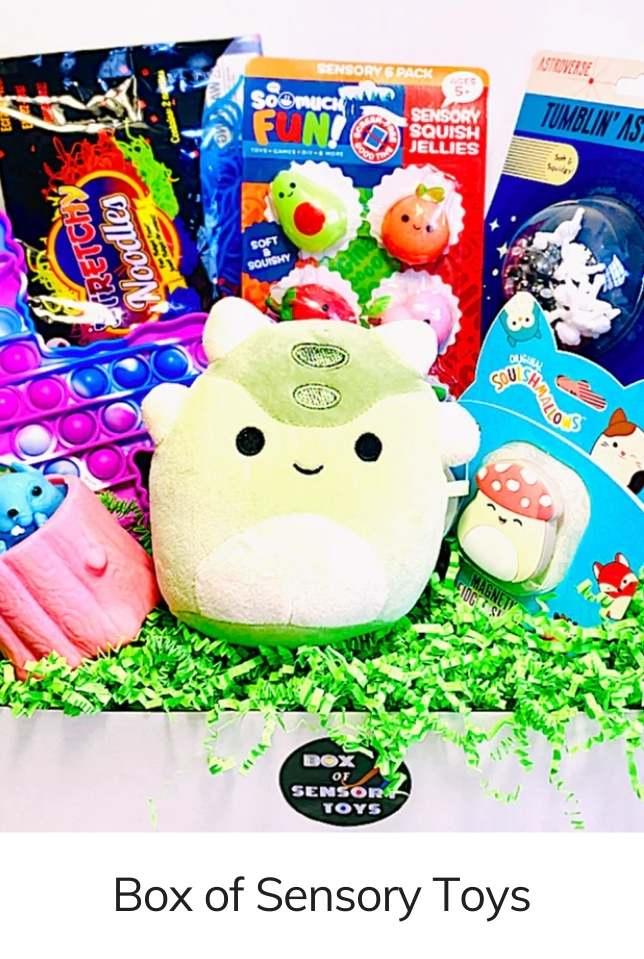 Box of Sensory Toys